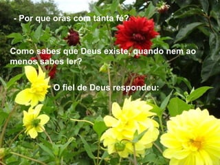 - Por que oras com tanta fé?
Como sabes que Deus existe, quando nem ao
menos sabes ler?
O fiel de Deus respondeu:
 