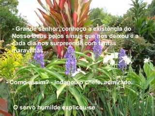 - Grande senhor, conheço a existência do
Nosso Deus pelos sinais que nos deixou e a
cada dia nos surpreende com tantas
maravilhas...
- Como assim? - indagou o chefe, admirado.
O servo humilde explicou-se:
 