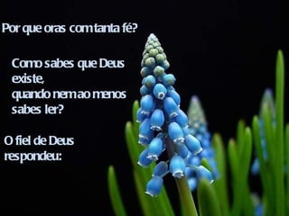 Por que oras com tanta fé? Como sabes que Deus existe,  quando nem ao menos  sabes ler? O fiel de Deus  respondeu: 