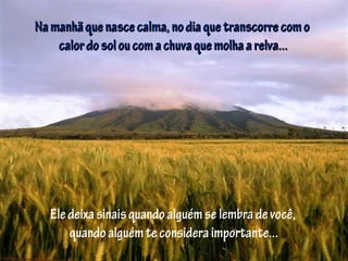 Namanhãquenascecalma,nodiaquetranscorrecomoNamanhãquenascecalma,nodiaquetranscorrecomo
calordosoloucomachuvaquemolhaarelva...calordosoloucomachuvaquemolhaarelva...
Eledeixasinaisquandoalguémse lembralembradevocê,
quandoalguémteconsideraimportante...
 