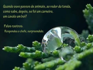 Pelosrastros.Pelosrastros.
Respondeuochefe,surpreendido.Respondeuochefe,surpreendido.
Quandoouvepassosdeanimais,aoredordatenda,Quandoouvepassosdeanimais,aoredordatenda,
comosabe,depois,sefoiumcarneiro,comosabe,depois,sefoiumcarneiro,
umcavaloumboi?umcavaloumboi?
 
