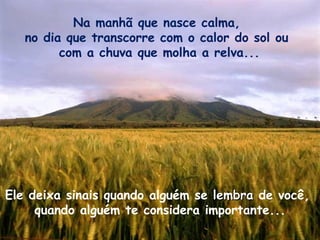 Na manhã que nasce calma,  no dia que transcorre com o calor do sol ou  com a chuva que molha a relva... Ele deixa sinais quando alguém se  lembra  de você,  quando alguém te considera importante... 