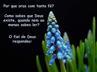 Por que oras com tanta fé? Como sabes que Deus existe, quando nem ao menos sabes ler? O fiel de Deus respondeu: 