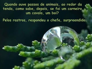 Pelos rastros, respondeu o chefe, surpreendido. Quando ouve passos de animais, ao redor da tenda, como sabe, depois, se foi um carneiro,  um cavalo, um boi?  
