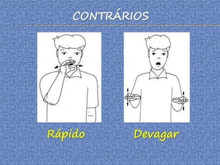 CONTRÁRIOS
Rápido Devagar
 