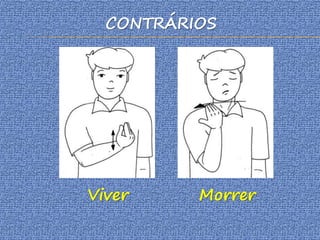 CONTRÁRIOS
Viver Morrer
 