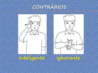 CONTRÁRIOS
Inteligente Ignorante
 