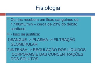 Fisiologia
 Os rins recebem um fluxo sanguíneo de
1.100mL/min – cerca de 23% do débito
cardíaco.
 • Isso se justifica:
1)SANGUE -> PLASMA -> FILTRAÇÃO
GLOMERULAR
2)INTENSA -> REGULAÇÃO DOS LÍQUIDOS
CORPORAIS E DAS CONCENTRAÇÕES
DOS SOLUTOS
 