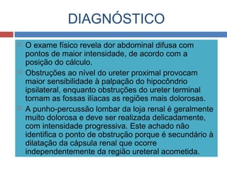 DIAGNÓSTICO
 O exame físico revela dor abdominal difusa com
pontos de maior intensidade, de acordo com a
posição do cálculo.
 Obstruções ao nível do ureter proximal provocam
maior sensibilidade à palpação do hipocôndrio
ipsilateral, enquanto obstruções do ureter terminal
tornam as fossas ilíacas as regiões mais dolorosas.
 A punho-percussão lombar da loja renal é geralmente
muito dolorosa e deve ser realizada delicadamente,
com intensidade progressiva. Este achado não
identifica o ponto de obstrução porque é secundário à
dilatação da cápsula renal que ocorre
independentemente da região ureteral acometida.
 