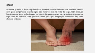 CALOR
Acontece quando o fluxo sanguíneo local aumenta e o metabolismo local também, fazendo
com que a temperatura naquela região seja maior do que no resto do corpo. Além disso, os
leucócitos, que antes se localizavam no centro dos vasos, migram para a periferia, trocando de
lugar com as hemácias. Esse processo serve para que marginação leucocitária seja mais
eficiente e rápida;
 