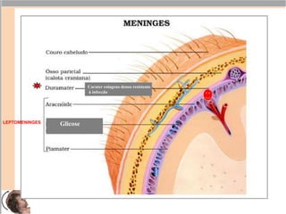 LEPTOMENINGES Glicose
Carater colageno denso resistente
à infecção
 