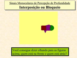 Sinais Monoculares de Percepção de Profundidade
Sinais Monoculares de Percepção de Profundidade
       Interposição ou Bloqueio
       Interposição ou Bloqueio




  Você consegue consegue dizer quem está na
  E agora... Você dizer olhando para as figuras
  acima, quem está atrás? Por que?
  frente equem está na frente e quem está atrás?
 
