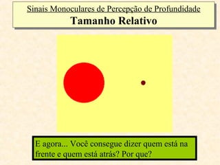 Sinais Monoculares de Percepção de Profundidade
Sinais Monoculares de Percepção de Profundidade
            Tamanho Relativo
            Tamanho Relativo




  E agora... Você consegue dizer quem está na
  Você consegue dizer olhando para as figuras
  frente quem está atrás? Por que?
  acima,equem está na frente e quem está atrás?
 