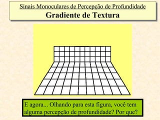 Sinais Monoculares de Percepção de Profundidade
Sinais Monoculares de Percepção de Profundidade
         Gradiente de Textura
         Gradiente de Textura




 Olhando para esta figura, você tem alguma
 E agora... Olhando para esta figura, você tem
 percepção de profundidade?
 alguma percepção de profundidade? Por que?
 