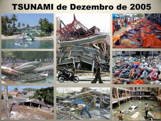 TSUNAMI de Dezembro de 2005

 