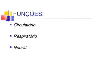 FUNÇÕES:
 Circulatório
 Respiratório
 Neural
 