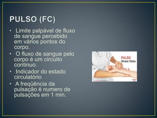 • Limite palpável de fluxo
de sangue percebido
em vários pontos do
corpo.
• O fluxo de sangue pelo
corpo é um circuito
continuo.
• Indicador do estado
circulatório
• A freqüência da
pulsação é numero de
pulsações em 1 min.
 