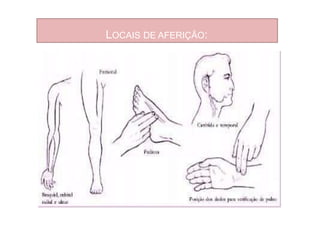 LOCAIS DE AFERIÇÃO:
 