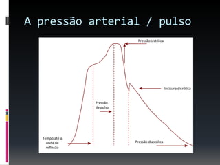 A pressão arterial / pulso
 