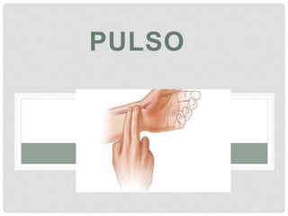PULSO
 