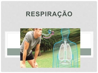 RESPIRAÇÃO
 