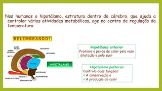 Nos humanos o hipotálamo, estrutura dentro do cérebro, que ajuda a
controlar várias atividades metabólicas, age no centro de regulação da
temperatura
HIPOTÁLAMO
RELEMBRANDO!
Hipotálamo anterior
Promove a perda de calor pela vaso
dilatação e pelo suor
Hipotálamo posterior
Controla duas funções:
✓A conservação e
✓A produção do calor
 