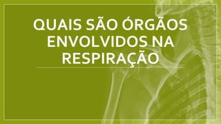 QUAIS SÃO ÓRGÃOS
ENVOLVIDOS NA
RESPIRAÇÃO
 