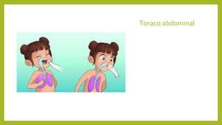 Toraco abdominal
 