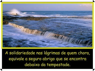 A solidariedade nas lágrimas de quem chora, equivale a seguro abrigo que se encontra debaixo da tempestade. 