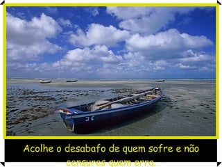 Acolhe o desabafo de quem sofre e não censures quem erra. 