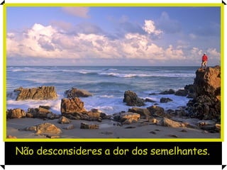 Não desconsideres a dor dos semelhantes. 