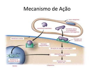 Mecanismo de Ação
 