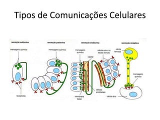 Tipos de Comunicações Celulares
 