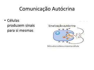Comunicação Autócrina
• Células
  produzem sinais
  para si mesmas
 