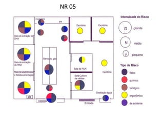 NR 05 
 
