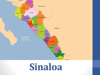 Sinaloa
 