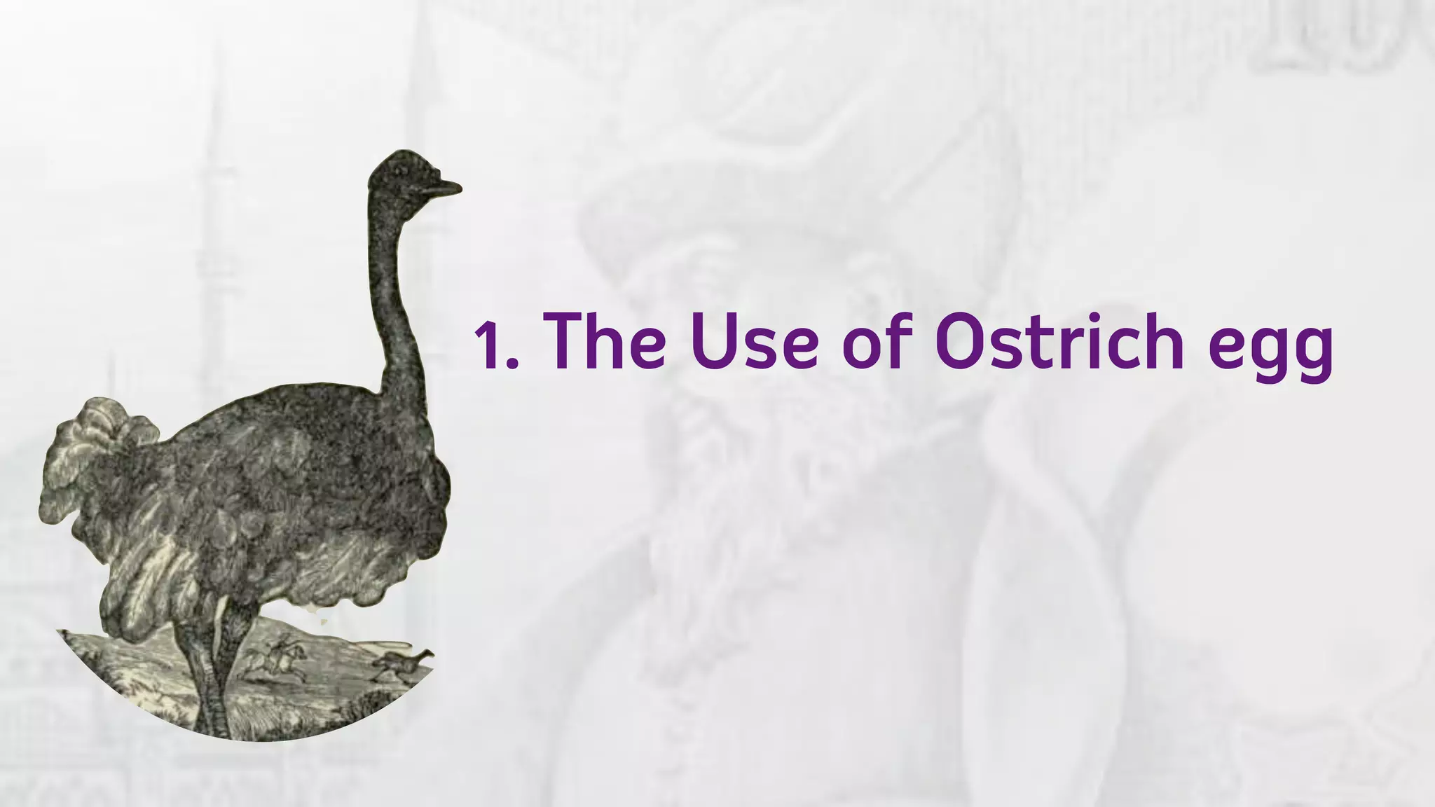 1. The Use of Ostrich egg
 