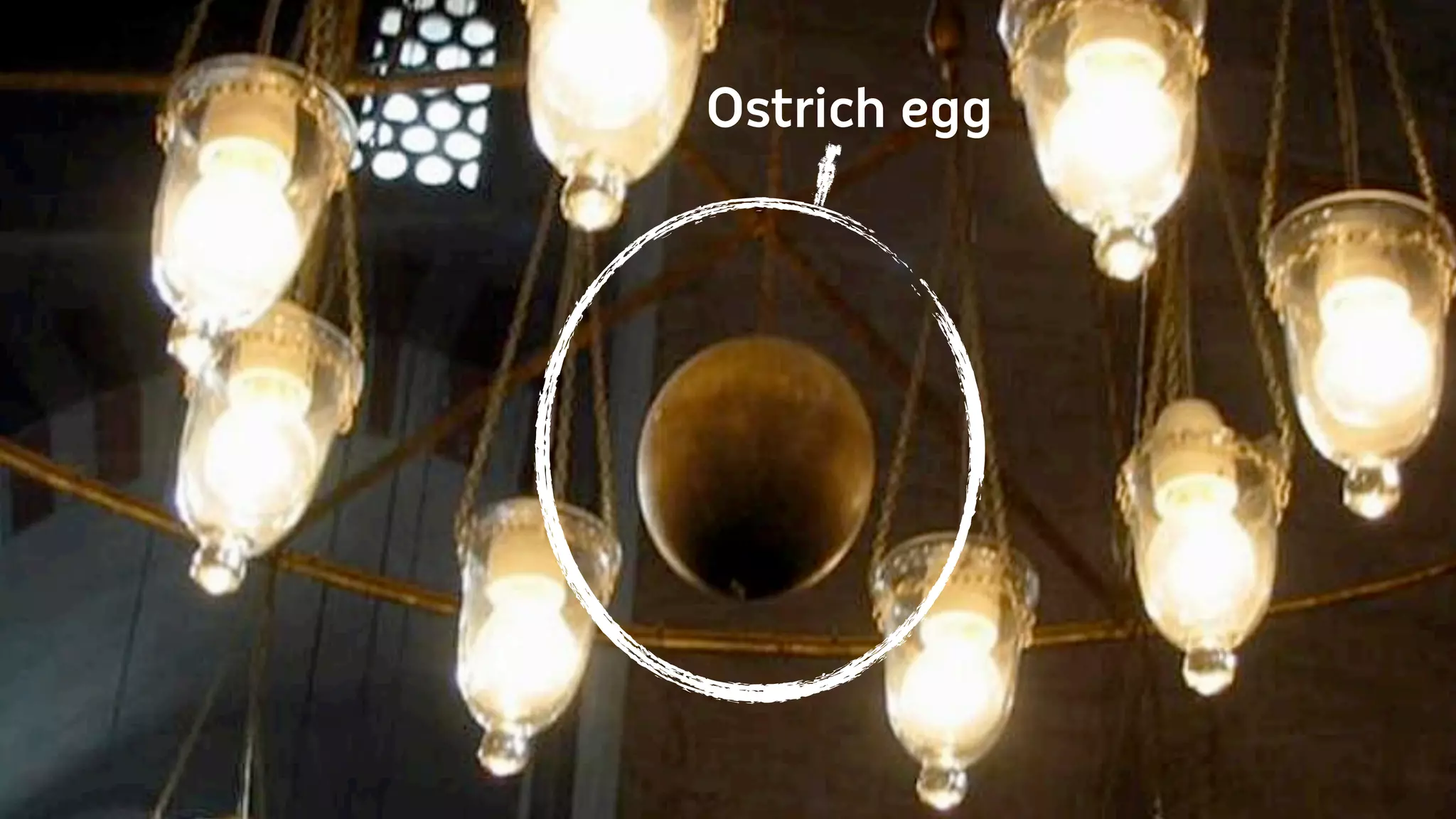 Ostrich egg
 