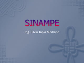 Ing. Silvia Tapia Medrano

 