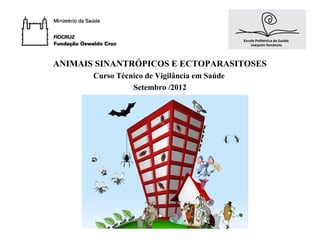 ANIMAIS SINANTRÓPICOS E ECTOPARASITOSES
       Curso Técnico de Vigilância em Saúde
                 Setembro /2012
 