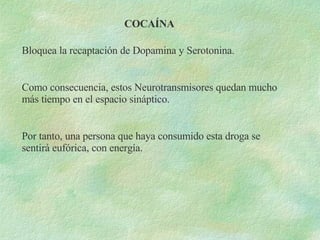 COCAÍNA Bloquea la recaptación de Dopamina y Serotonina.  Como consecuencia, estos Neurotransmisores quedan mucho más tiempo en el espacio sináptico.  Por tanto, una persona que haya consumido esta droga se sentirá eufórica, con energía.  