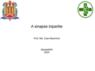 A sinapse tripartite
Prof. Me. Caio Maximino
Marabá/PA
2014
 
