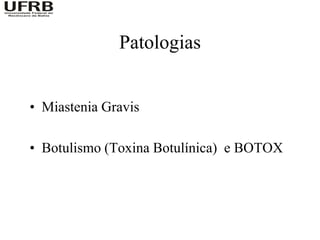 Patologias


• Miastenia Gravis

• Botulismo (Toxina Botulínica) e BOTOX
 