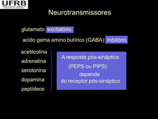Neurotransmissores

glutamato: excitatório

acido gama amino butírico (GABA): inibitório

acetilcolina
                  A resposta pós-sináptica
adrenalina
                     (PEPS ou PIPS)
serotonina
                         depende
dopamina          do receptor pós-sináptico
peptídeos
 