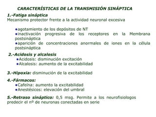 CARACTERÍSTICAS DE LA TRANSMISIÓN SINÁPTICA 1.-Fatiga sináptica Mecanismo protector frente a la actividad neuronal excesiva agotamiento de los depósitos de NT inactivación progresiva de los receptores en la Membrana postsináptica aparición de concentraciones anormales de iones en la célula postsináptica 2.-Acidosis y alcalosis Acidosis: disminución excitación Alcalosis: aumento de la excitabilidad 3.-Hipoxia:  disminución de la excitabilidad 4.-Fármacos: Cafeína: aumento la excitabilidad Anestésicos: elevación del umbral 5.-Retraso sináptico:  0,5 msg. Permite a los neurofisiologos predecir el nº de neuronas conectadas en serie 