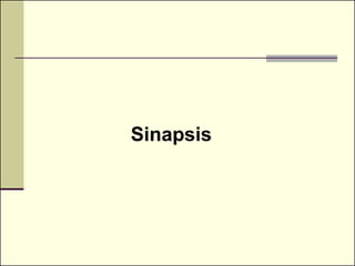 Sinapsis
 