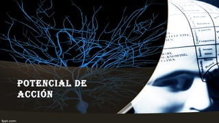 POTENcIal DE
accIóN
 