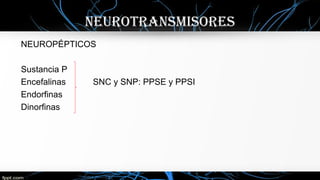 neurotransmisores
NEUROPÉPTICOS
Sustancia P
Encefalinas SNC y SNP: PPSE y PPSI
Endorfinas
Dinorfinas
 