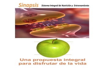 Sinapsis Sistema Integral de Nutrición y Entrenamiento