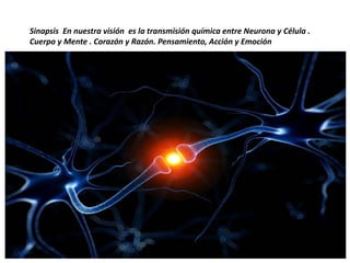 Sinapsis En nuestra visión es la transmisión química entre Neurona y Célula .
Cuerpo y Mente . Corazón y Razón. Pensamiento, Acción y Emoción
